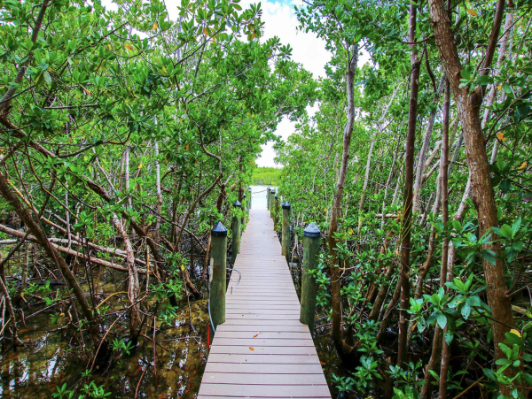 Captiva Island Luxury Vacation Rental Home Four Bedrooms